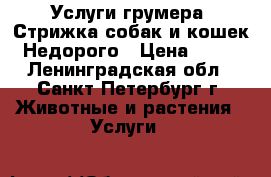 Услуги грумера (Стрижка собак и кошек) Недорого › Цена ­ 300 - Ленинградская обл., Санкт-Петербург г. Животные и растения » Услуги   